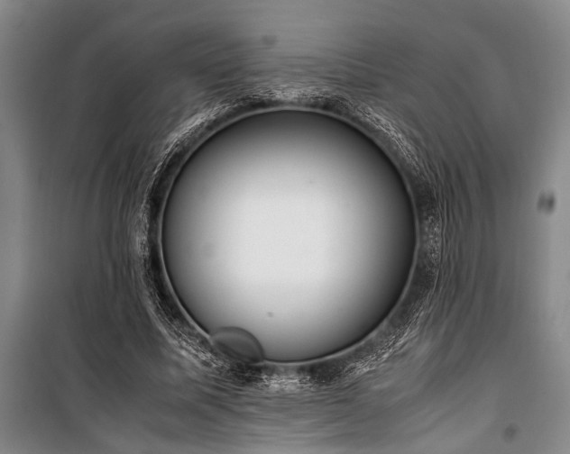 X0000101190587200806271318