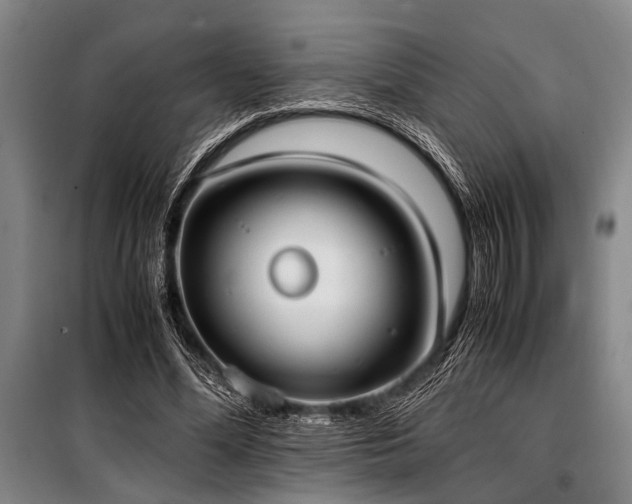 X0000101190588200806271318