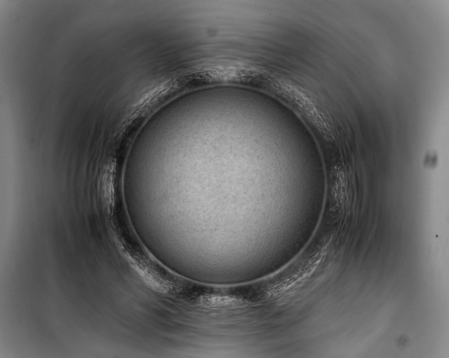 X0000101190590200806271318