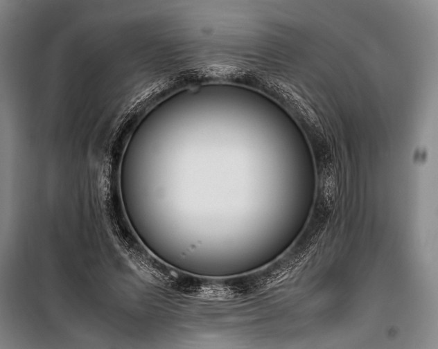 X0000101190591200806271318
