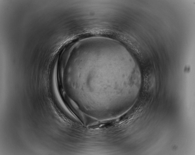 X0000101190592200806271318