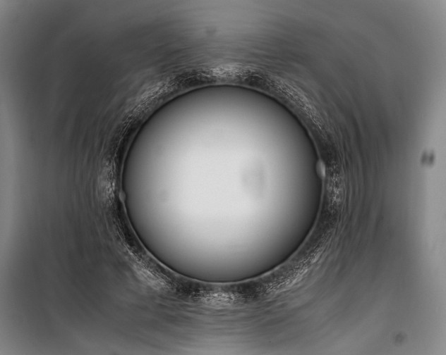 X0000101190593200806271318
