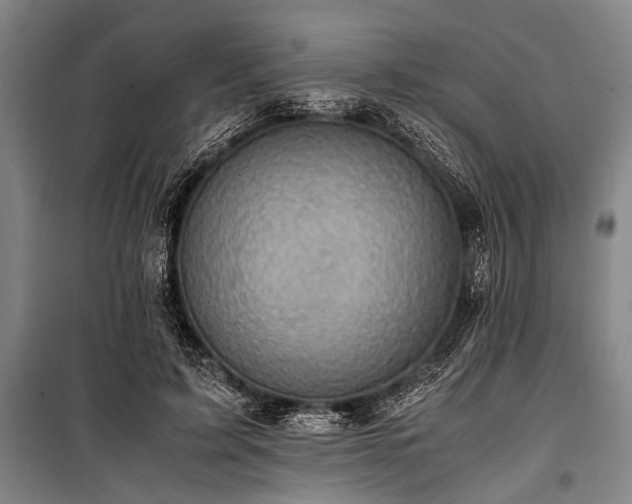 X0000101190595200806271318