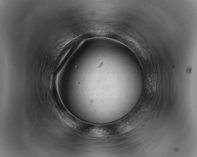 X0000101190596200806271318