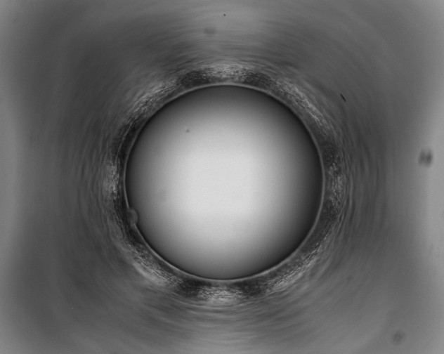 X0000101190597200806271318