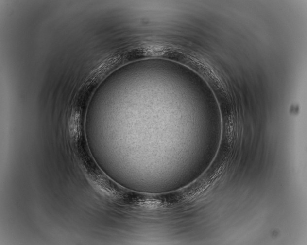 X0000101190598200806271317