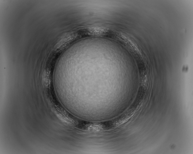 X0000101190599200806271317