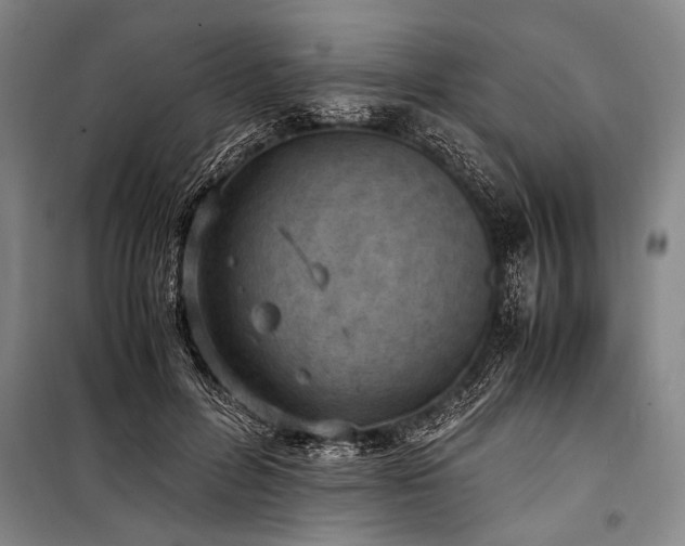 X0000101190600200806271317