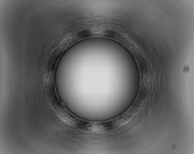 X0000101190601200806271317