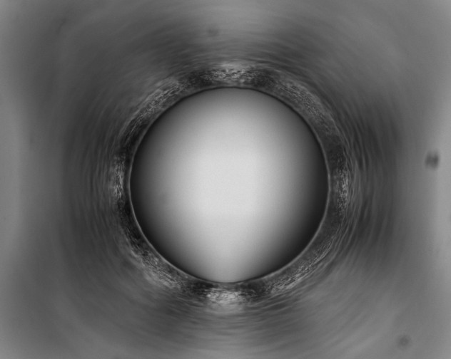 X0000101190602200806271317