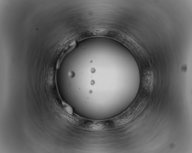 X0000101190604200806271317