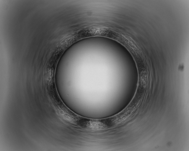 X0000101190605200806271317