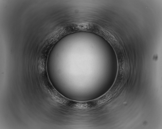 X0000101190606200806271317