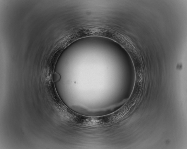 X0000101190607200806271317