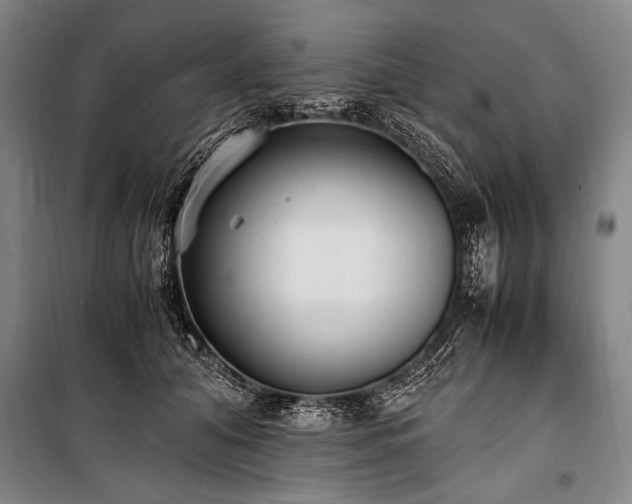 X0000101190608200806271317