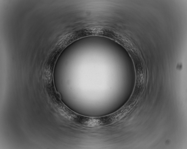 X0000101190609200806271317