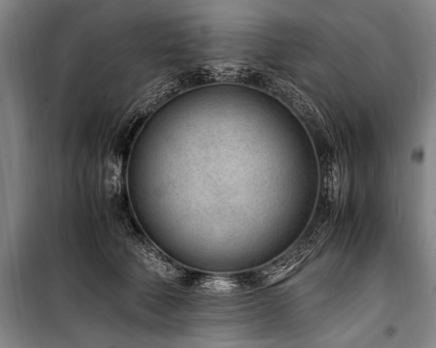 X0000101190610200806271317