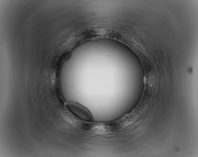 X0000101190611200806271317
