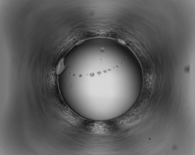 X0000101190612200806271317