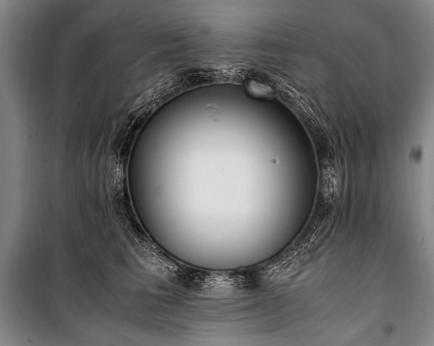 X0000101190613200806271317