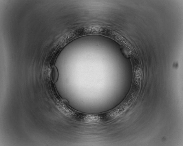 X0000101190617200806271317