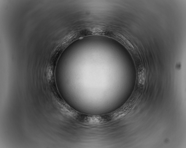 X0000101190618200806271317