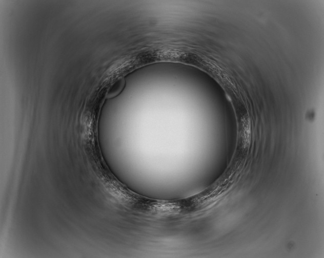 X0000101190619200806271317