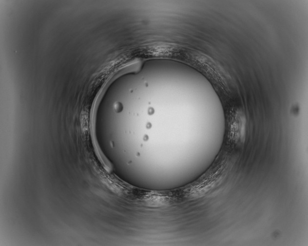 X0000101190620200806271317