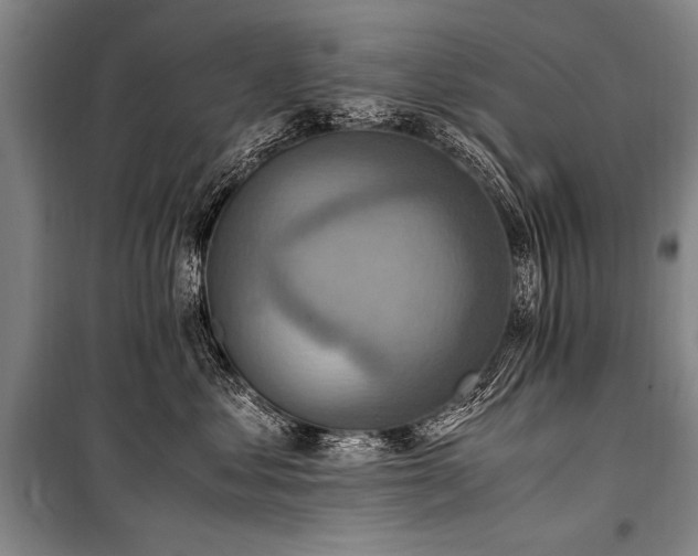 X0000101190621200806271317