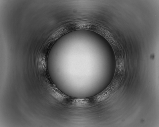 X0000101190622200806271317