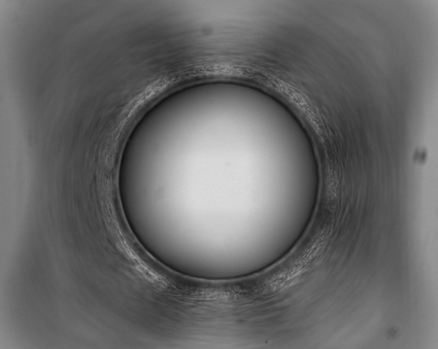X0000101190625200806271316