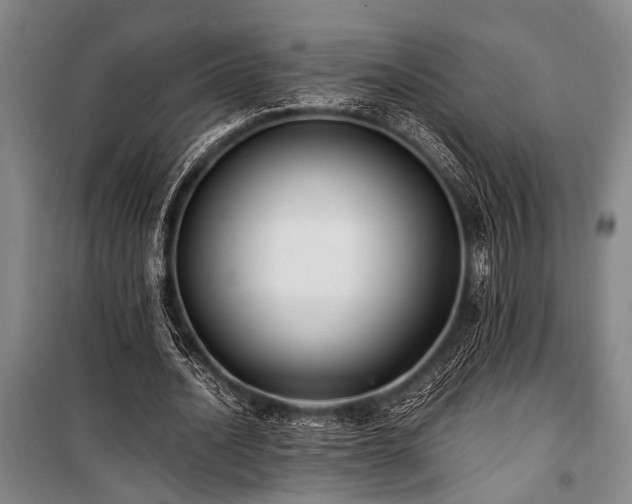 X0000101190628200806271316