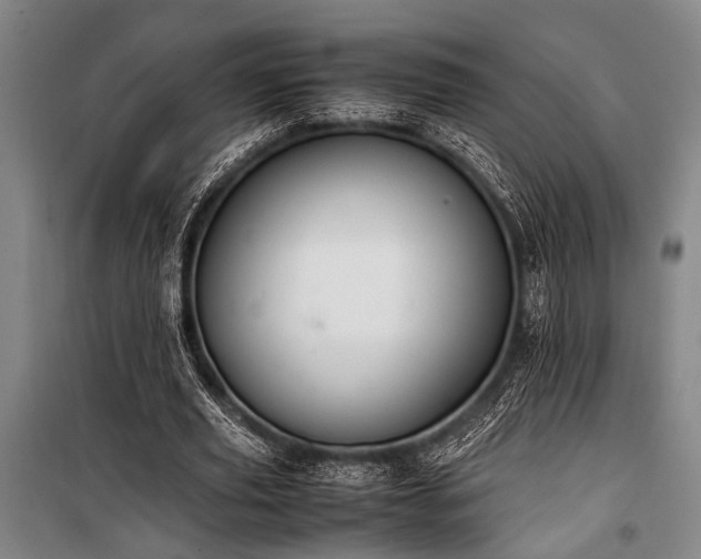 X0000101190629200806271316