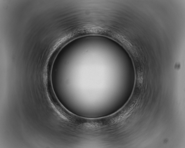 X0000101190630200806271317