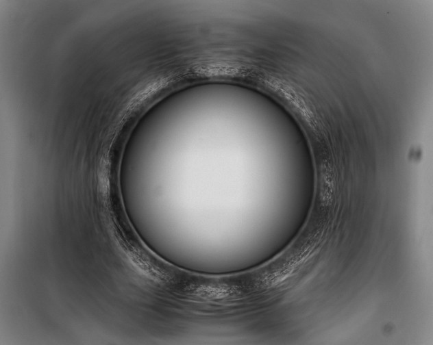 X0000101190631200806271317