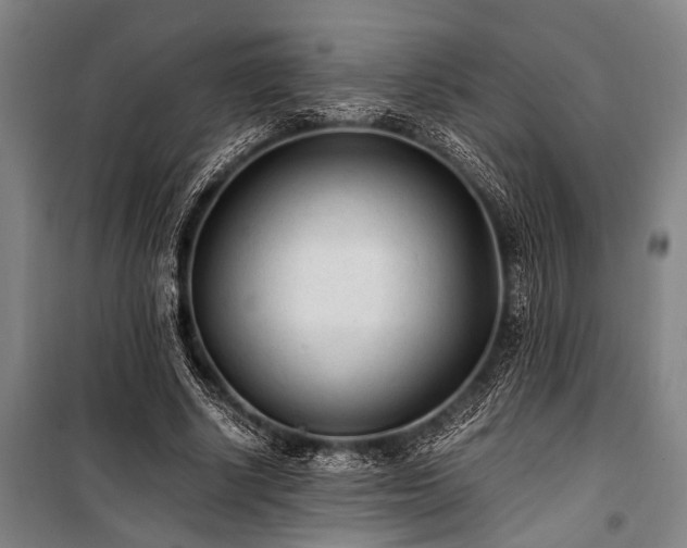 X0000101190634200806271317