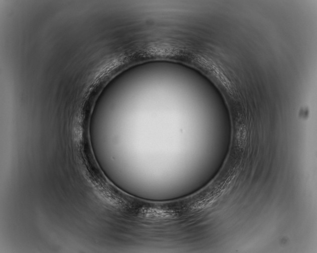 X0000101190635200806271317