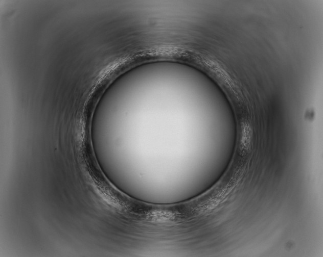 X0000101190636200806271317