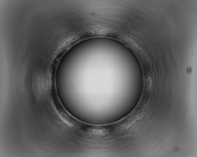 X0000101190638200806271317