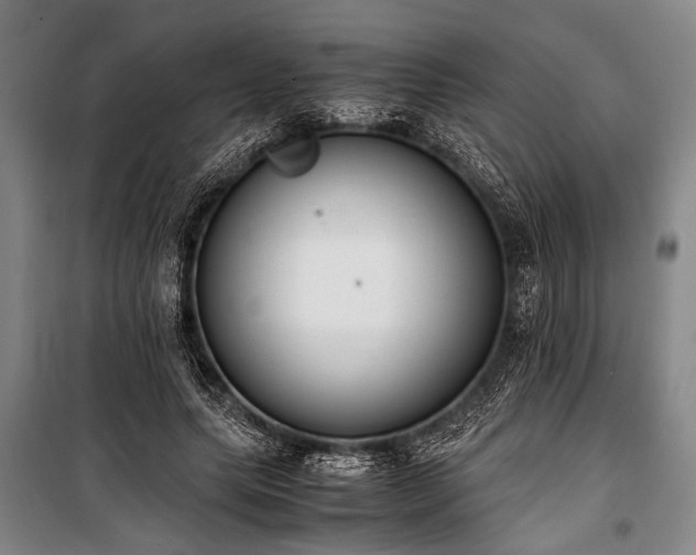 X0000101190639200806271317