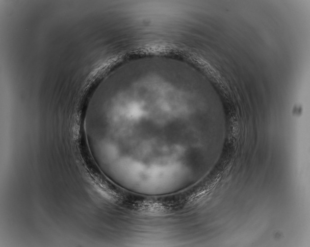 X0000101190640200806271317