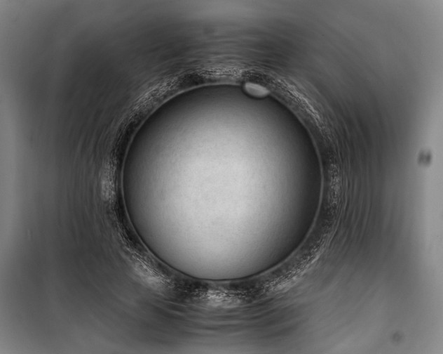 X0000101190641200806271317