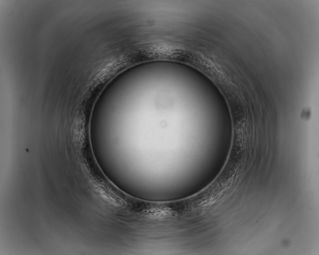 X0000101190642200806271317