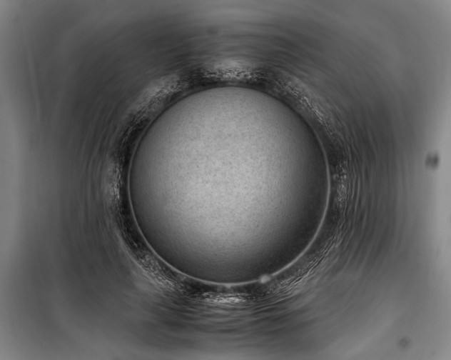 X0000101190643200806271317