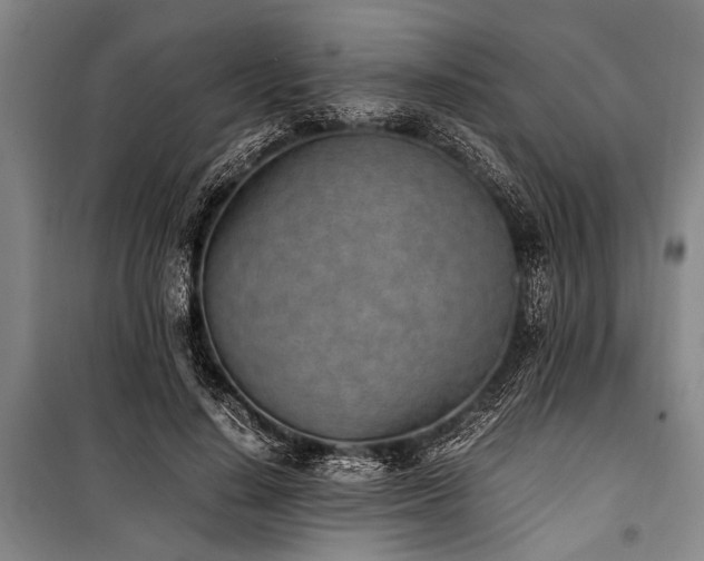 X0000101190644200806271317