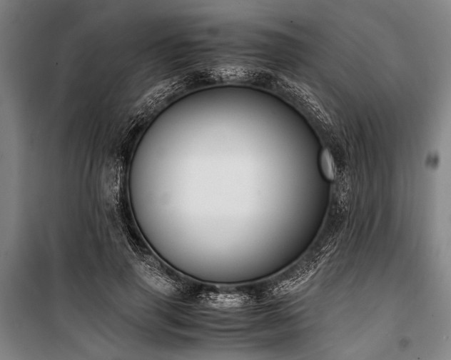 X0000101190645200806271317