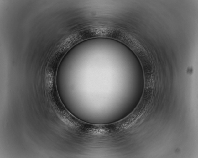 X0000101190646200806271317