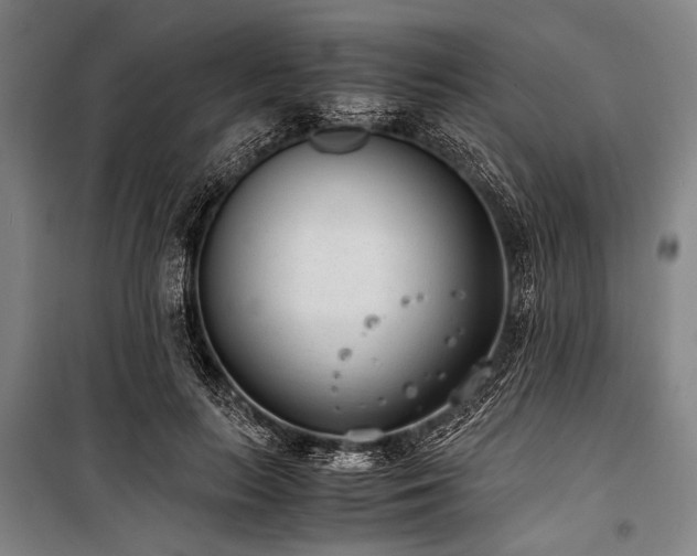 X0000101190647200806271317