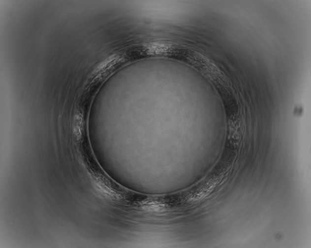 X0000101190648200806271317