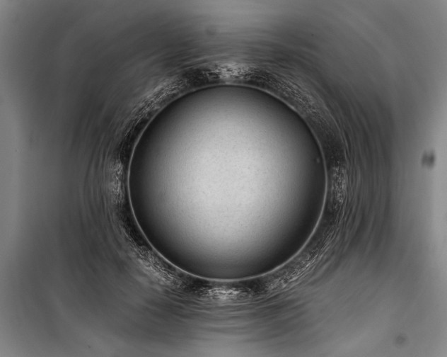 X0000101190650200806271317